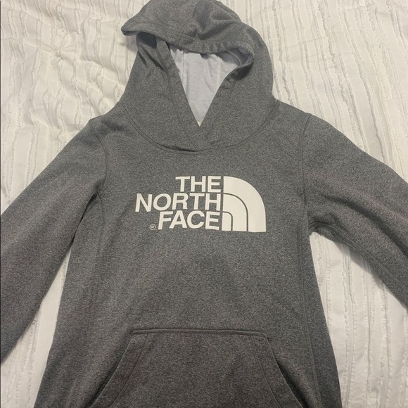 The North Face Hoodie - Picture 1 of 1